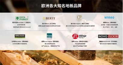 深耕细作|金钢铂林品牌力、渠道力并行，成增长内核