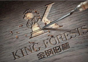 金钢铂林感恩每一个为热爱奔跑的人