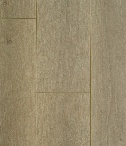新宝2登录线路检测